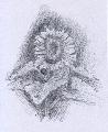 Napraforg